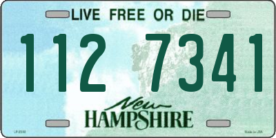 NH license plate 1127341