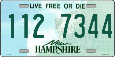 NH license plate 1127344