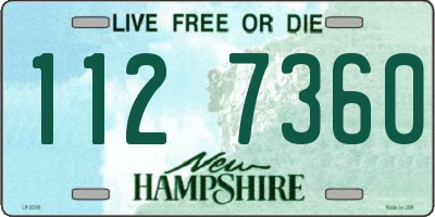 NH license plate 1127360