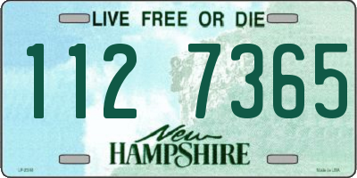 NH license plate 1127365