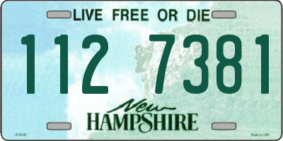 NH license plate 1127381