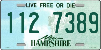 NH license plate 1127389