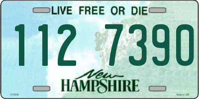 NH license plate 1127390