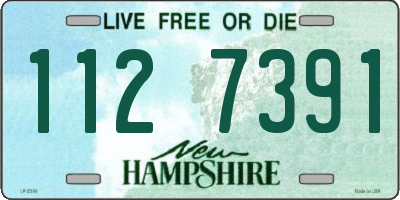 NH license plate 1127391