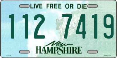 NH license plate 1127419