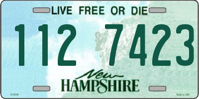 NH license plate 1127423
