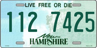 NH license plate 1127425