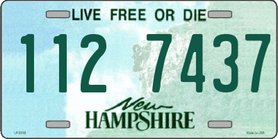 NH license plate 1127437