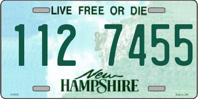 NH license plate 1127455