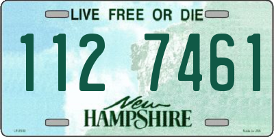 NH license plate 1127461