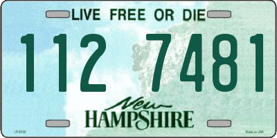 NH license plate 1127481