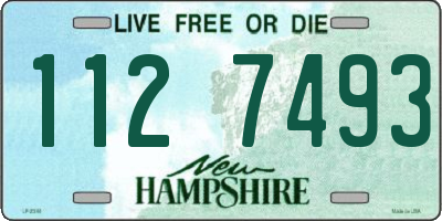 NH license plate 1127493