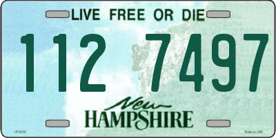 NH license plate 1127497