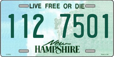 NH license plate 1127501