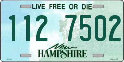 NH license plate 1127502
