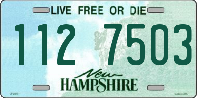 NH license plate 1127503