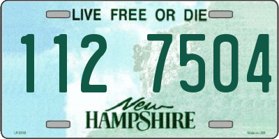 NH license plate 1127504