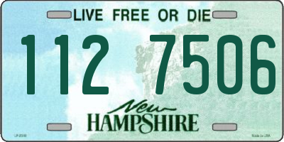 NH license plate 1127506