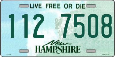 NH license plate 1127508