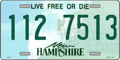 NH license plate 1127513