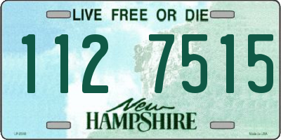 NH license plate 1127515
