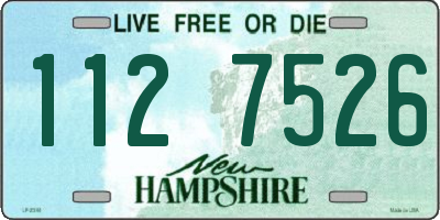 NH license plate 1127526