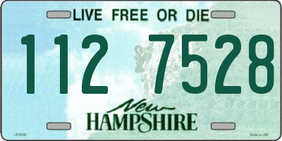 NH license plate 1127528