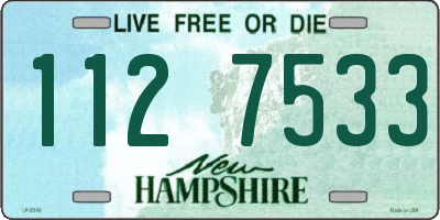 NH license plate 1127533