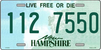 NH license plate 1127550