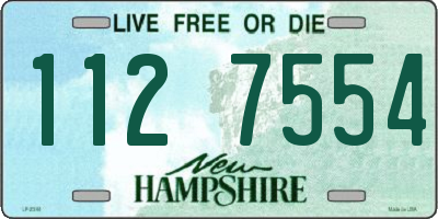 NH license plate 1127554