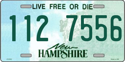 NH license plate 1127556