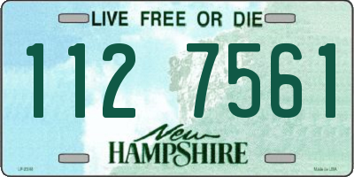 NH license plate 1127561