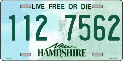 NH license plate 1127562