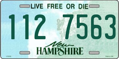 NH license plate 1127563