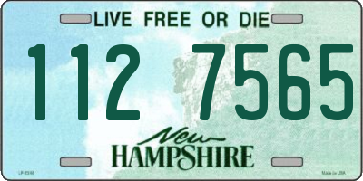 NH license plate 1127565