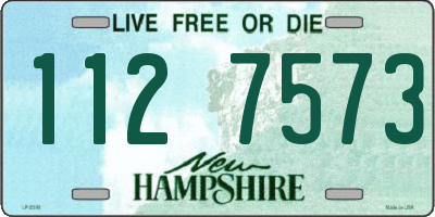 NH license plate 1127573