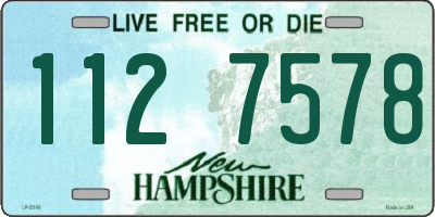 NH license plate 1127578