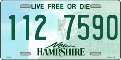 NH license plate 1127590