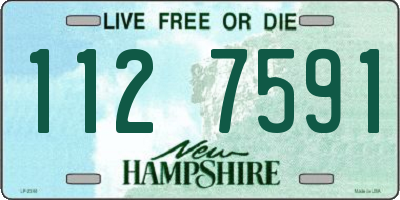 NH license plate 1127591