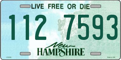 NH license plate 1127593