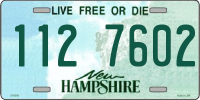 NH license plate 1127602