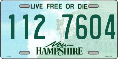 NH license plate 1127604