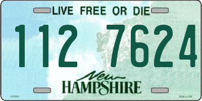 NH license plate 1127624