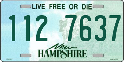 NH license plate 1127637