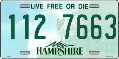 NH license plate 1127663