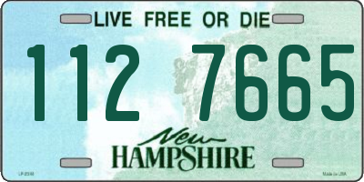 NH license plate 1127665