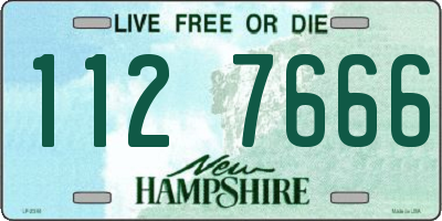 NH license plate 1127666