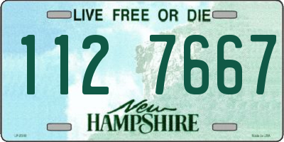 NH license plate 1127667