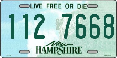 NH license plate 1127668