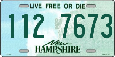 NH license plate 1127673